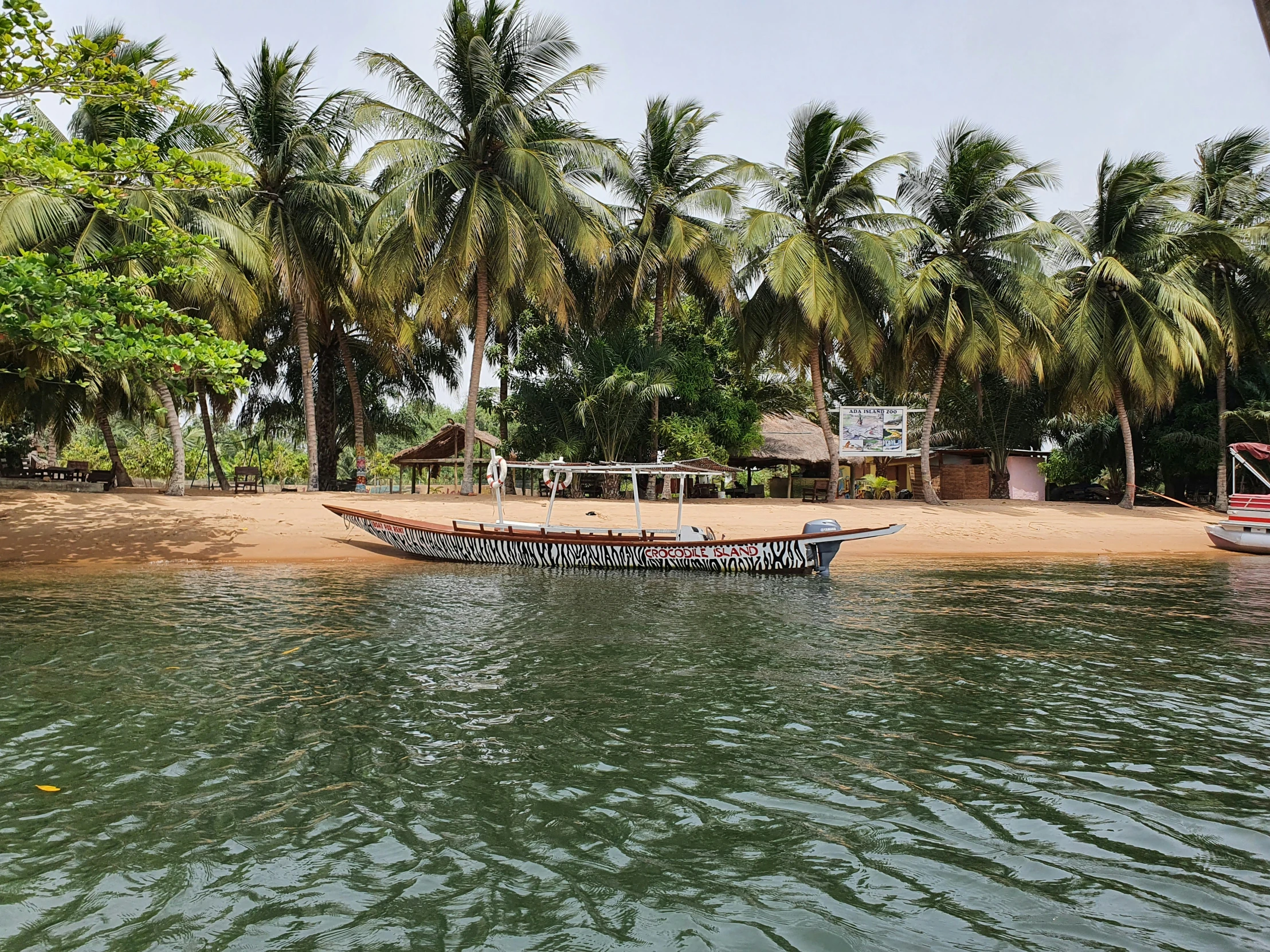 a boat is sitting on the sand near trees