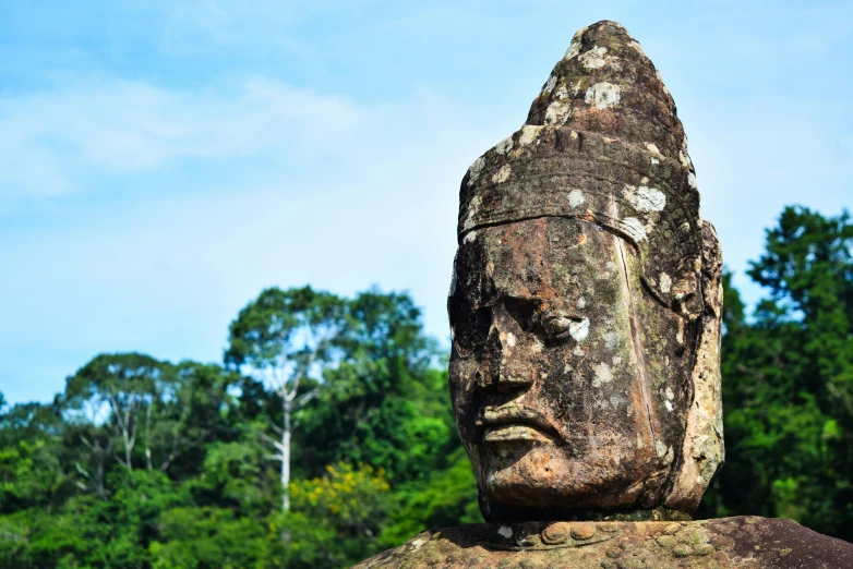 the head of a statue is perched in the woods