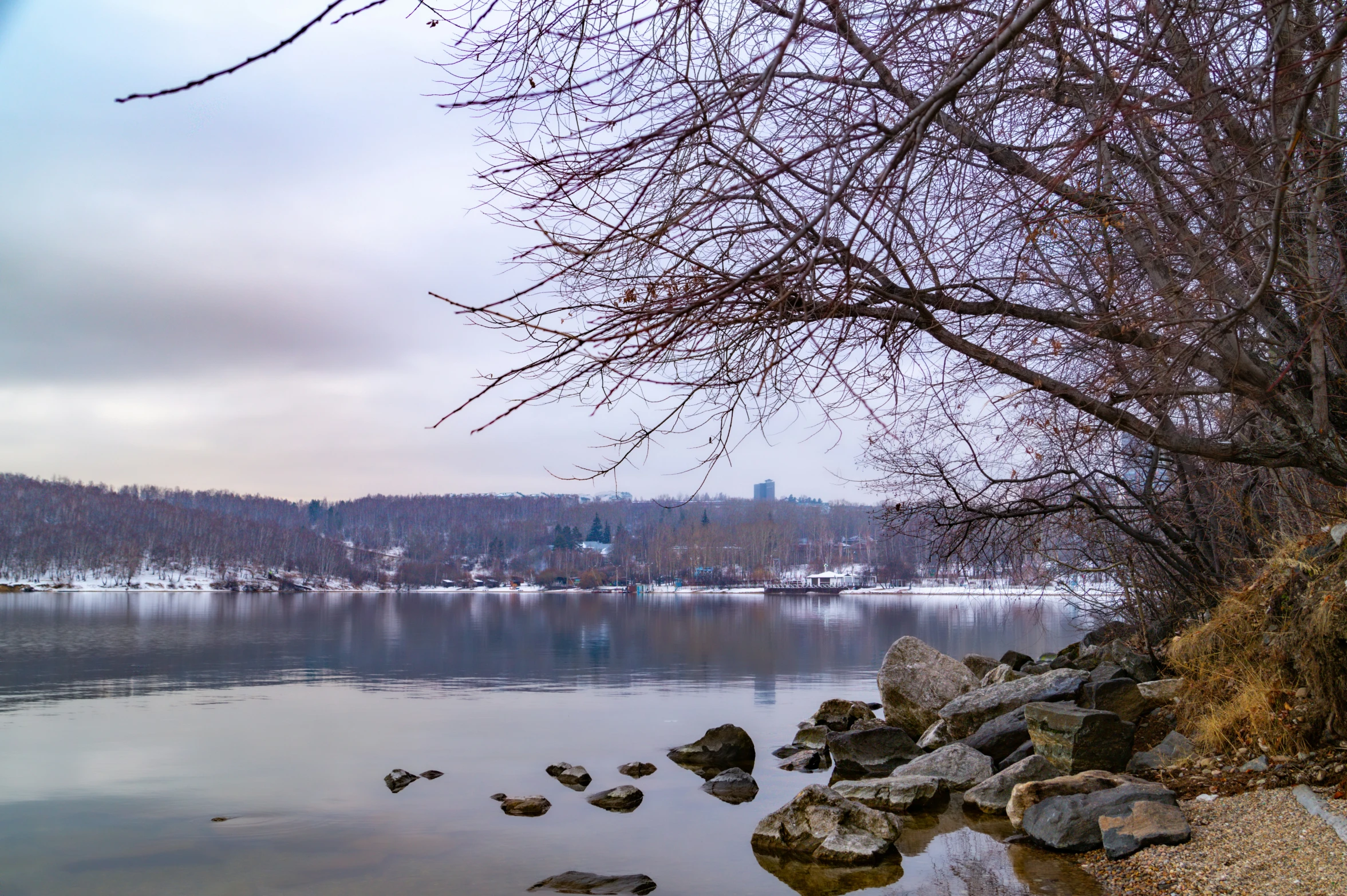 trees and rocks sit near the shore of a lake