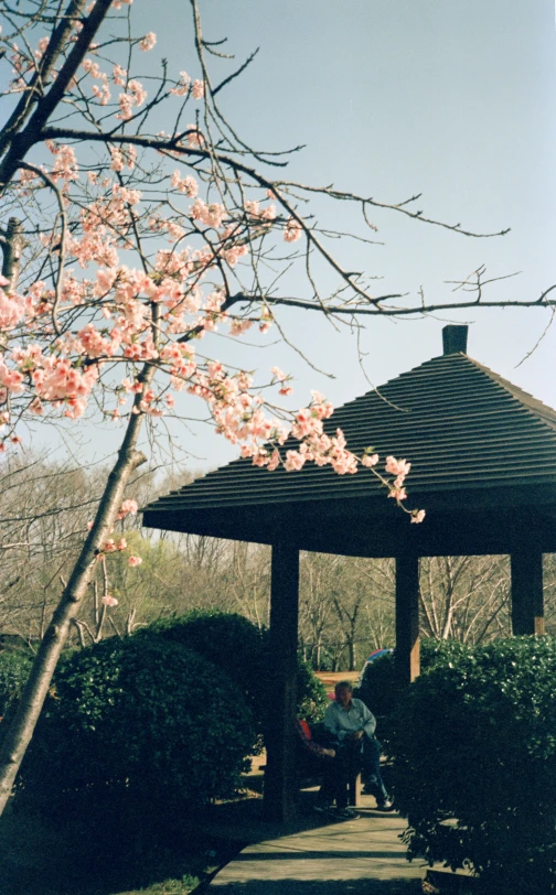 a small gazebo sitting on the side of a road