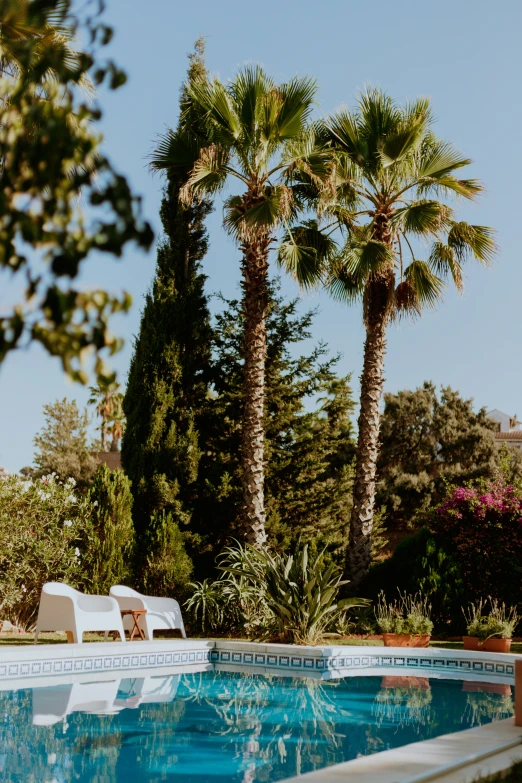 a empty pool in front of several trees and lawn chairs