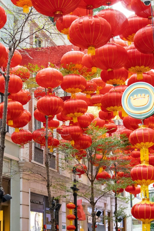 an open street with trees and lanterns hanging from the ceiling