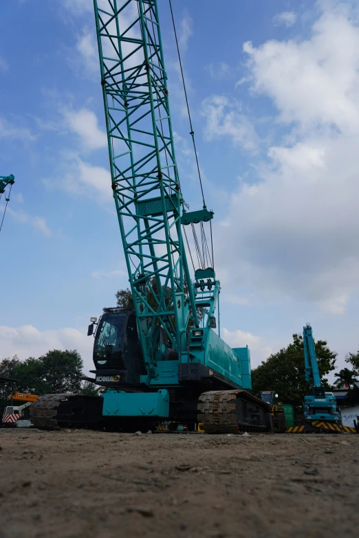 a crane sitting in the dirt with it's head up