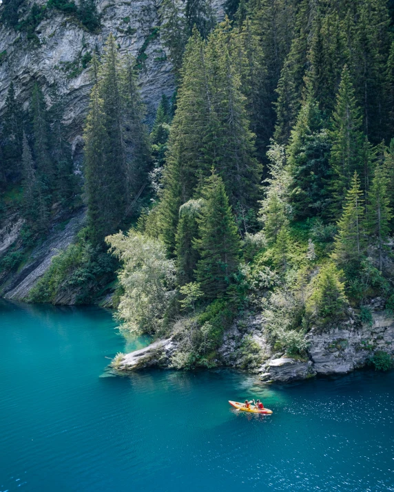 a body of water with trees and water kayaks floating near the shore