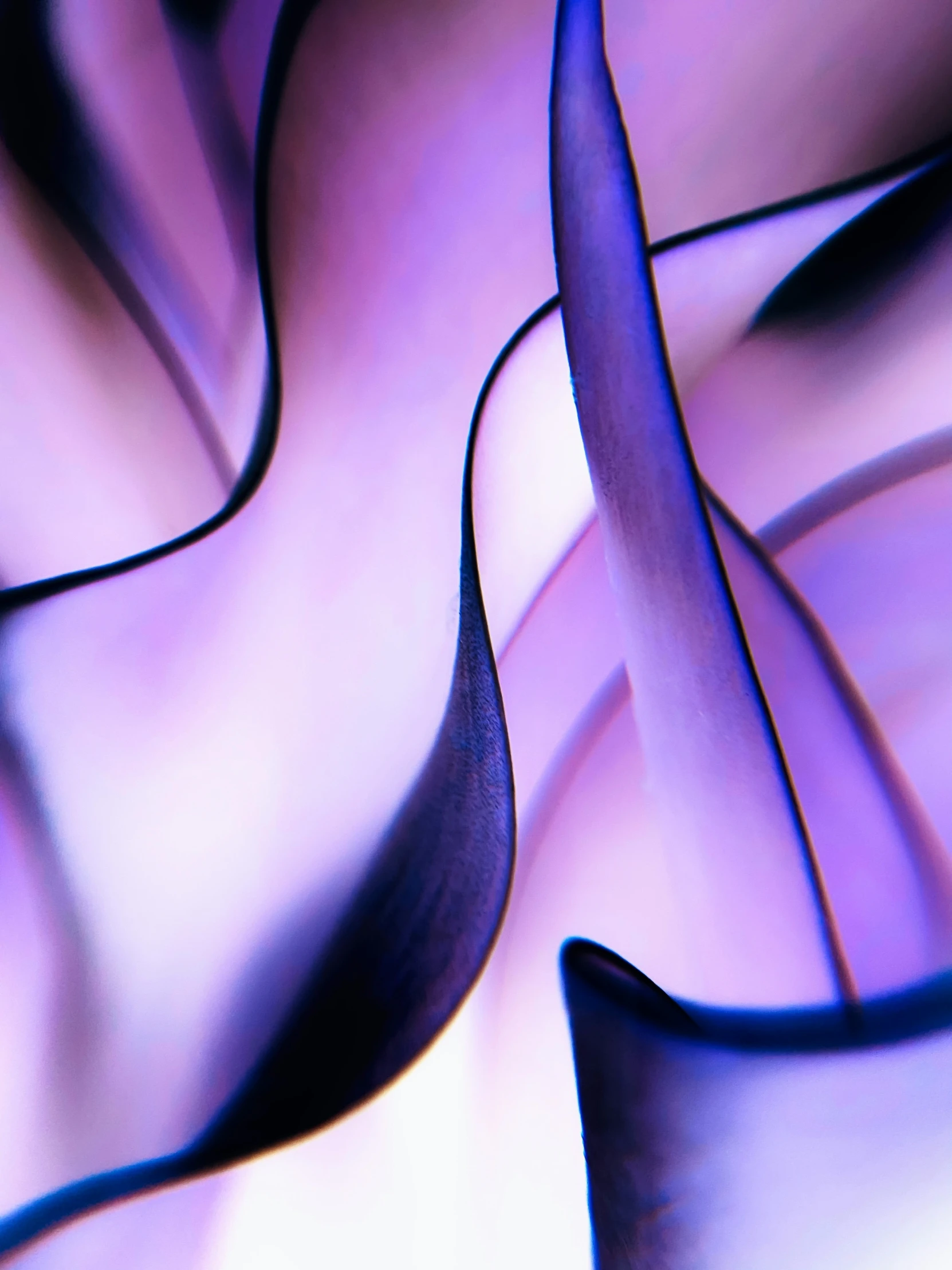 abstract swirl with curved blue curves in a closeup