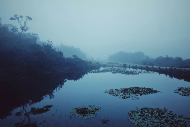 a lake on a foggy day is pictured