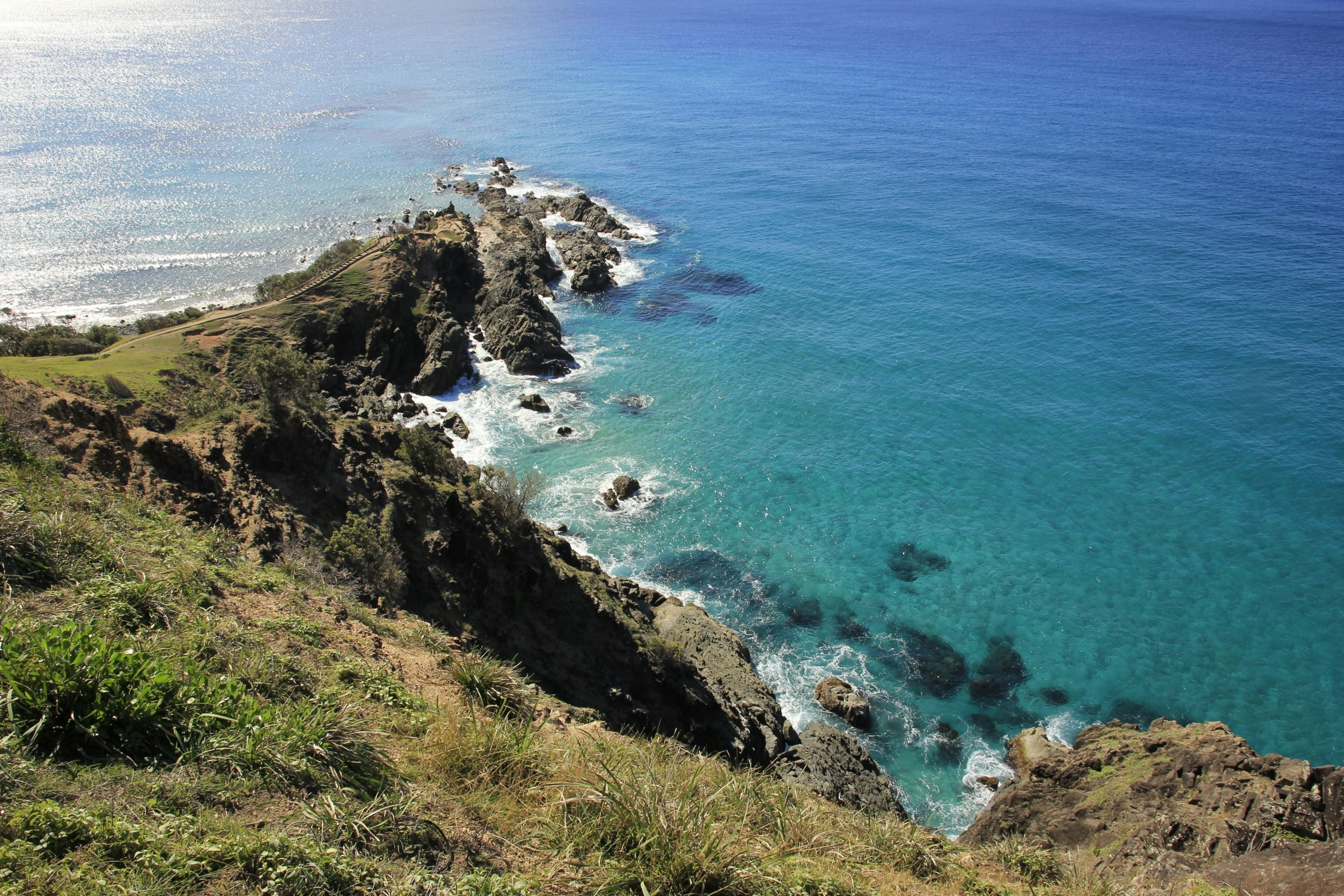 rocky coast and blue ocean with green vegetation