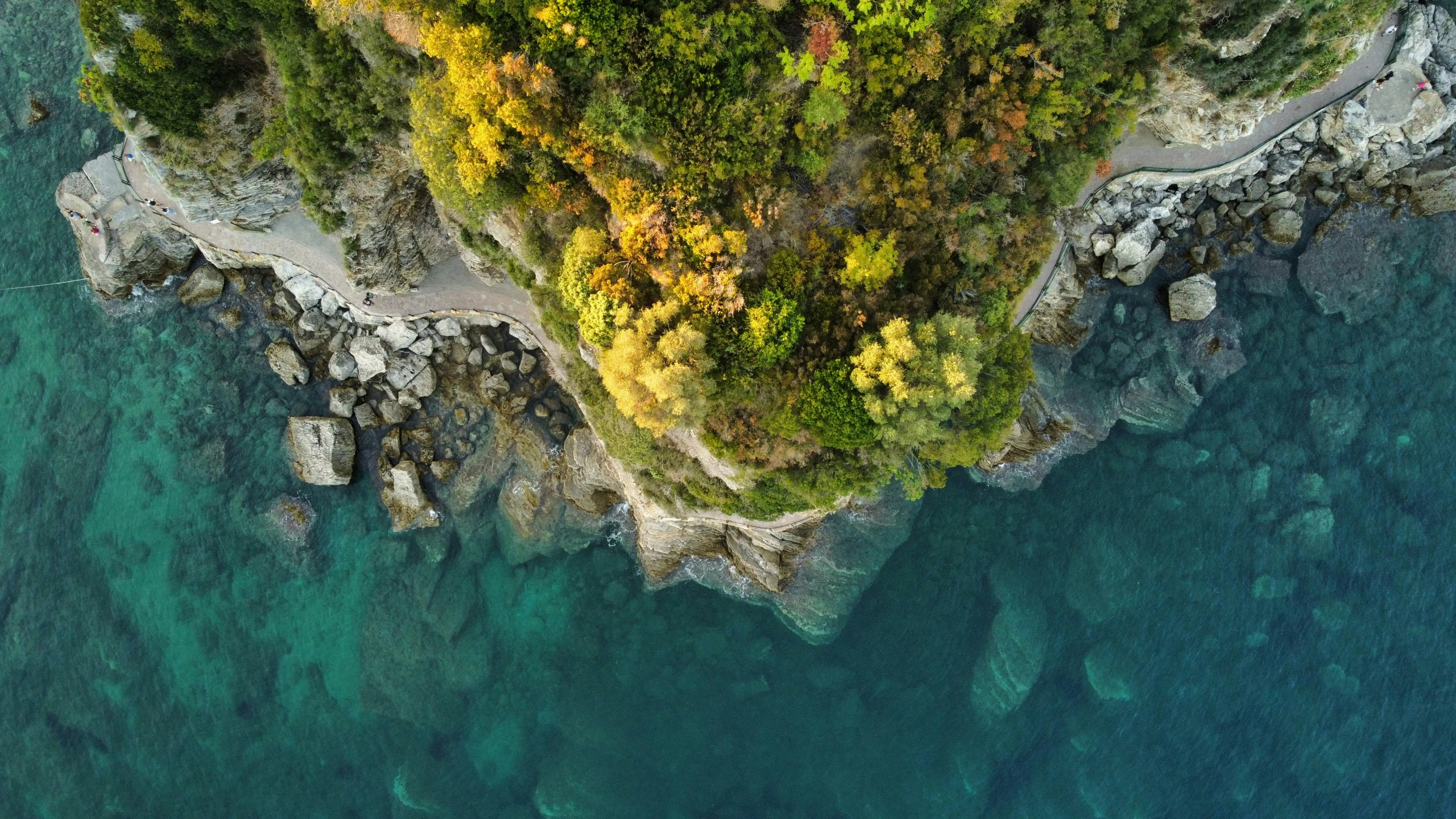 an aerial view of a large cliff sticking out of the ocean