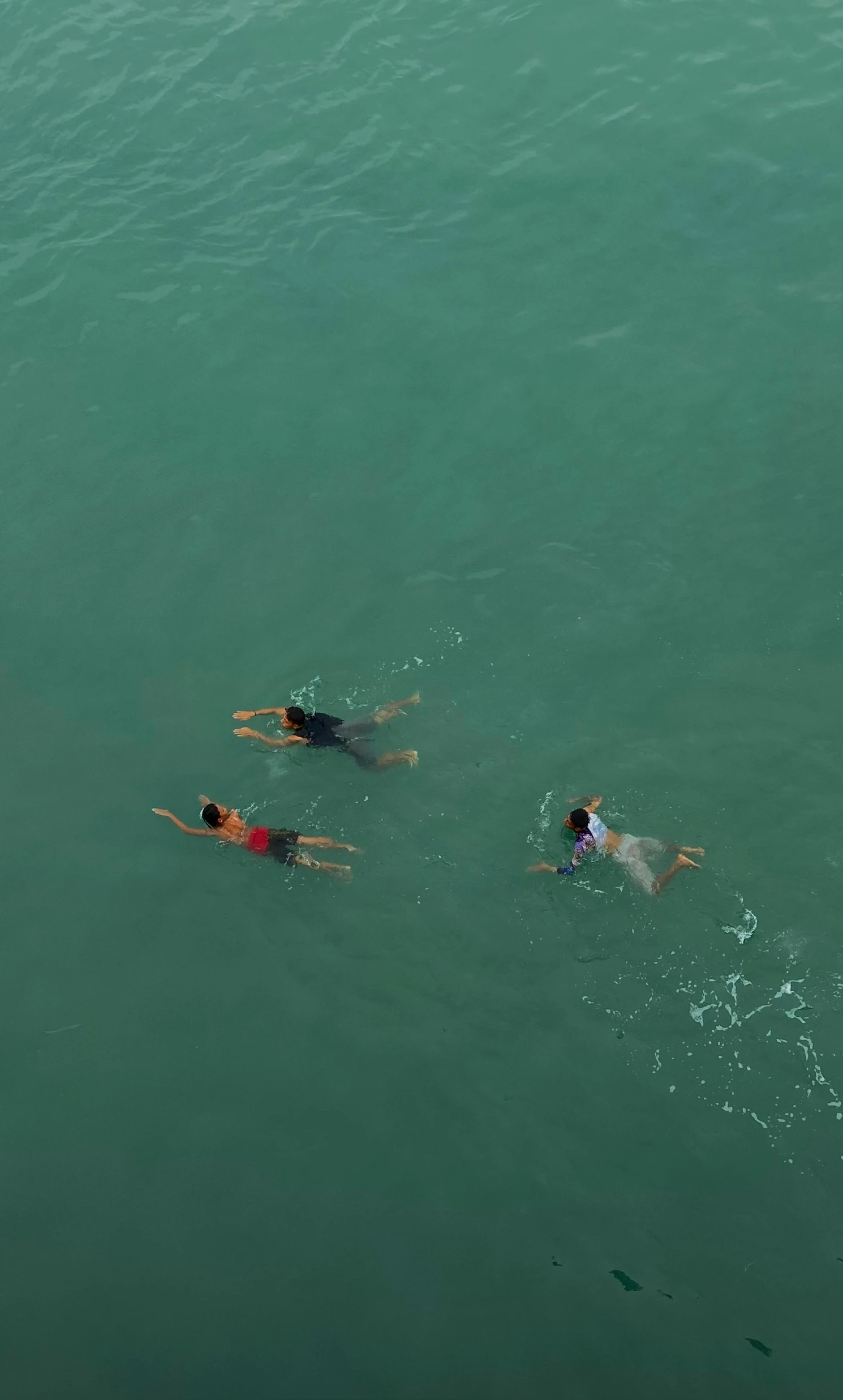 people swimming in the ocean near each other