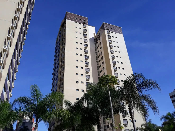 two tall buildings stand next to some palm trees