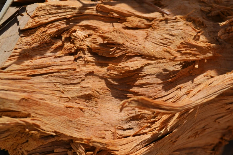 a close up view of some very old wood