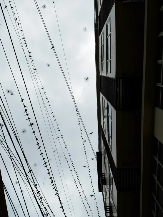 wires and telephone poles in front of buildings