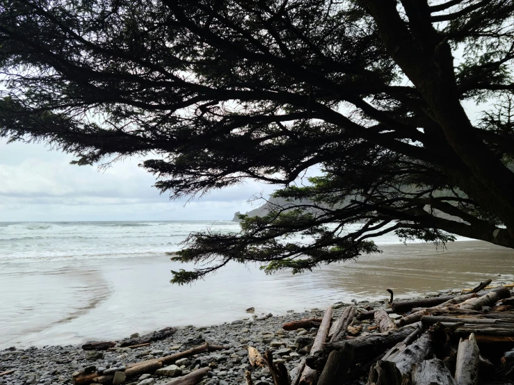 this is an image of a beach near the water