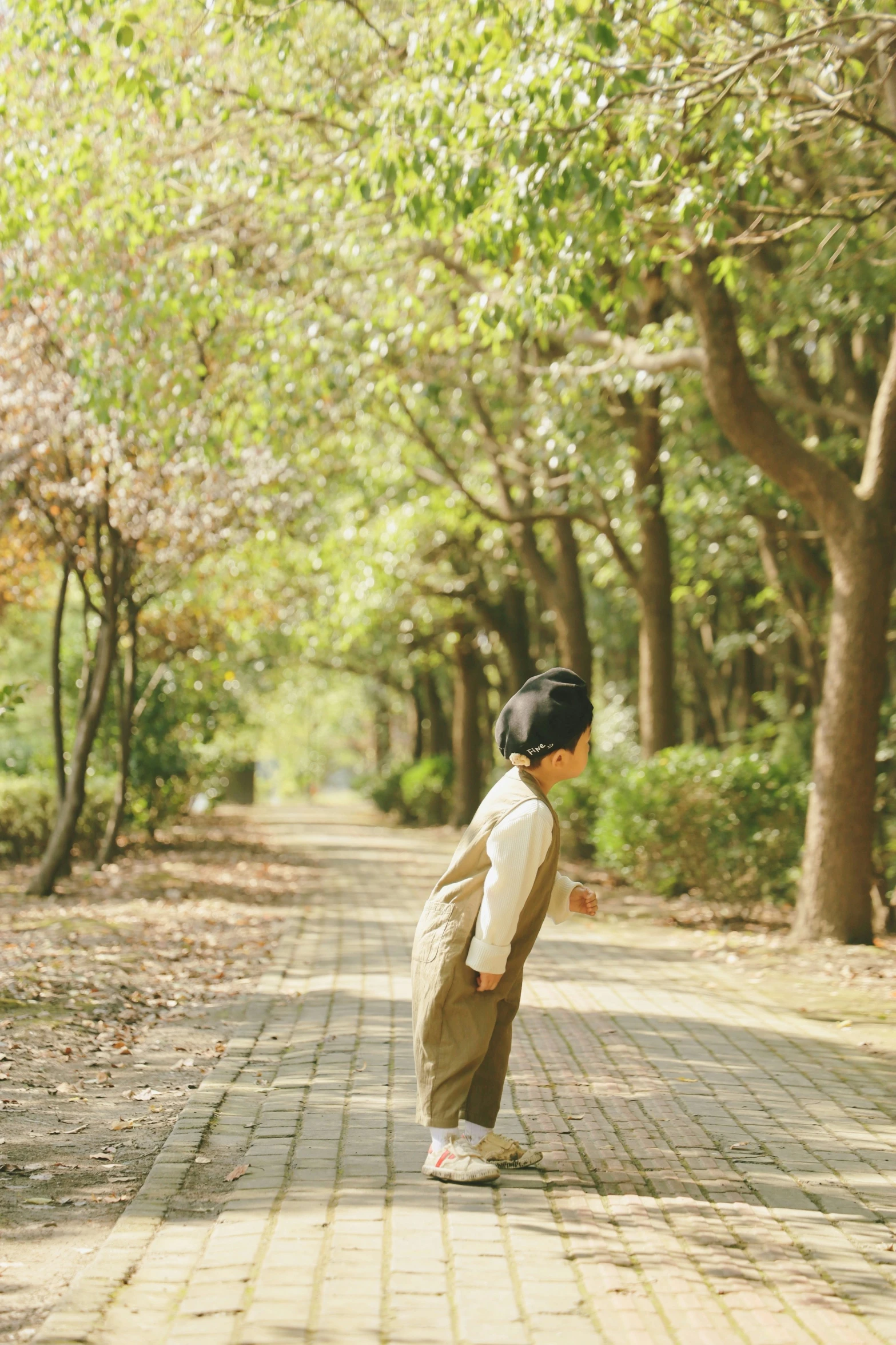 a  playing in the park on his skateboard