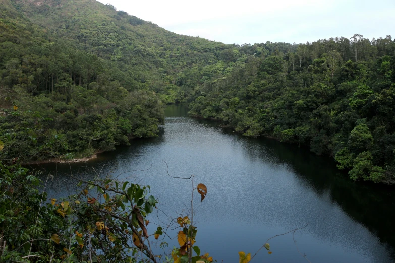 a body of water surrounded by mountains covered in trees