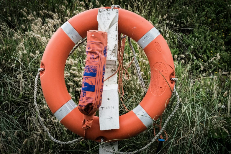 a orange life buoy sitting in some grass