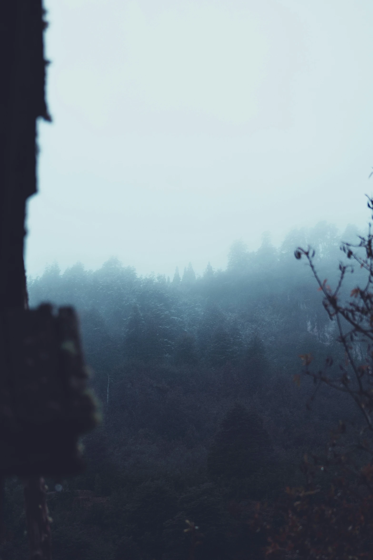 view out a window on a foggy day