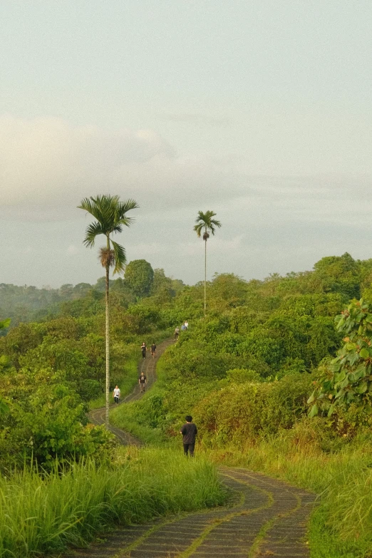 a couple of people walking down a dirt road