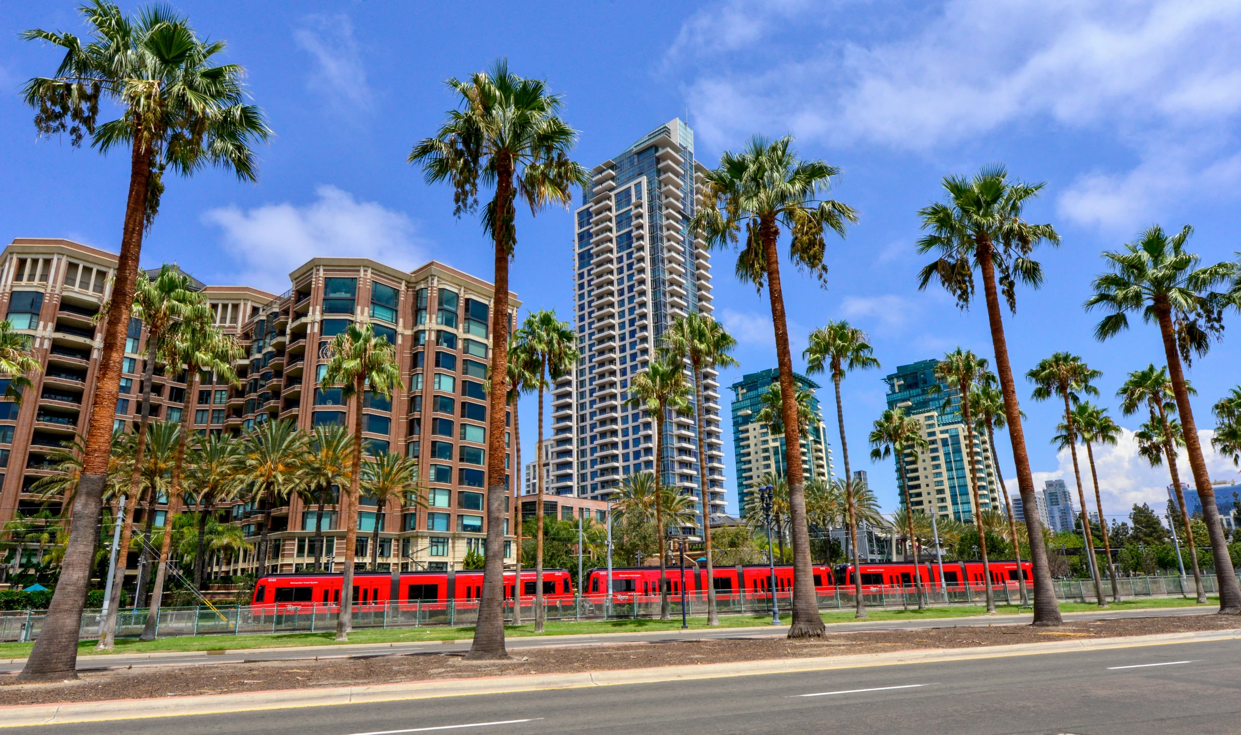 palm trees surround a city with a train going through the center