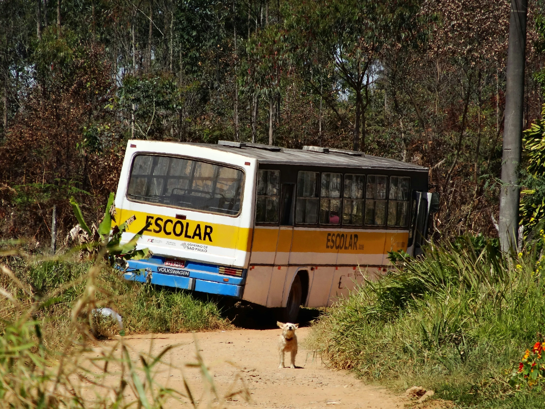 the old bus has rusted down and is parked next to a dirt path