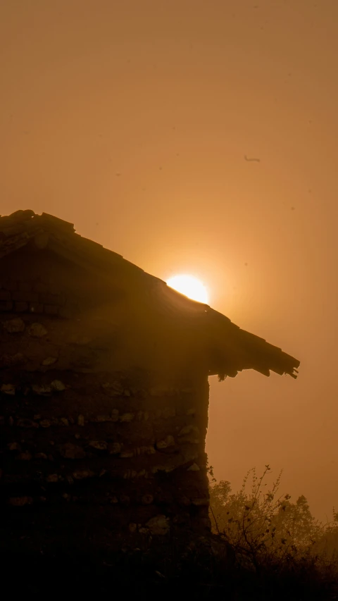 a silhouette of a bird on top of a building