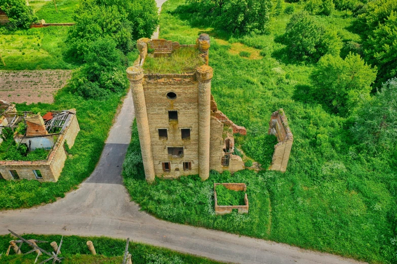 there are buildings and bushes along the street