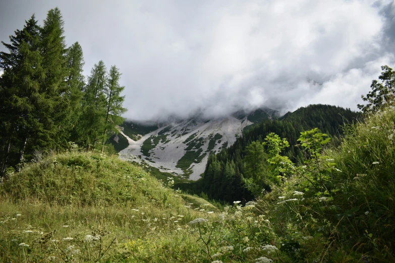 a hill side with some snow on top