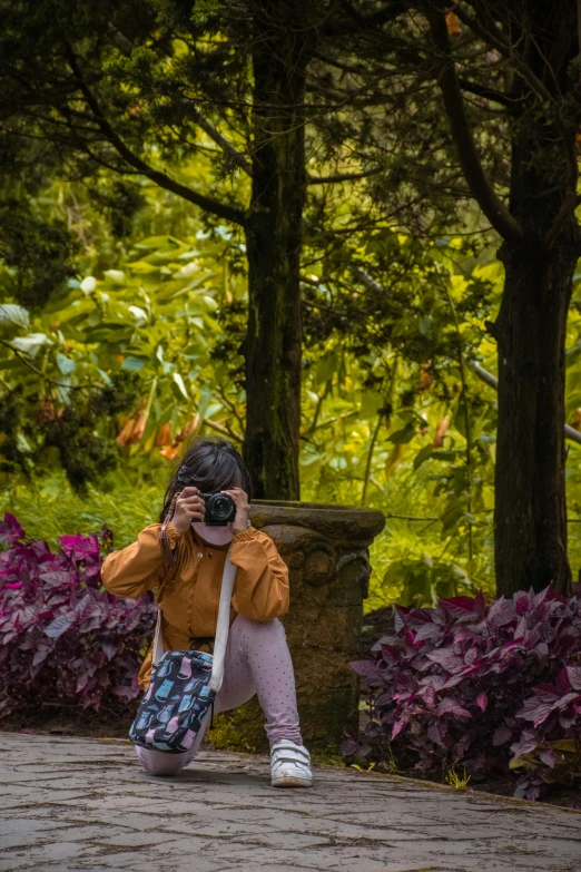 a person with a camera on a stone walkway by some bushes