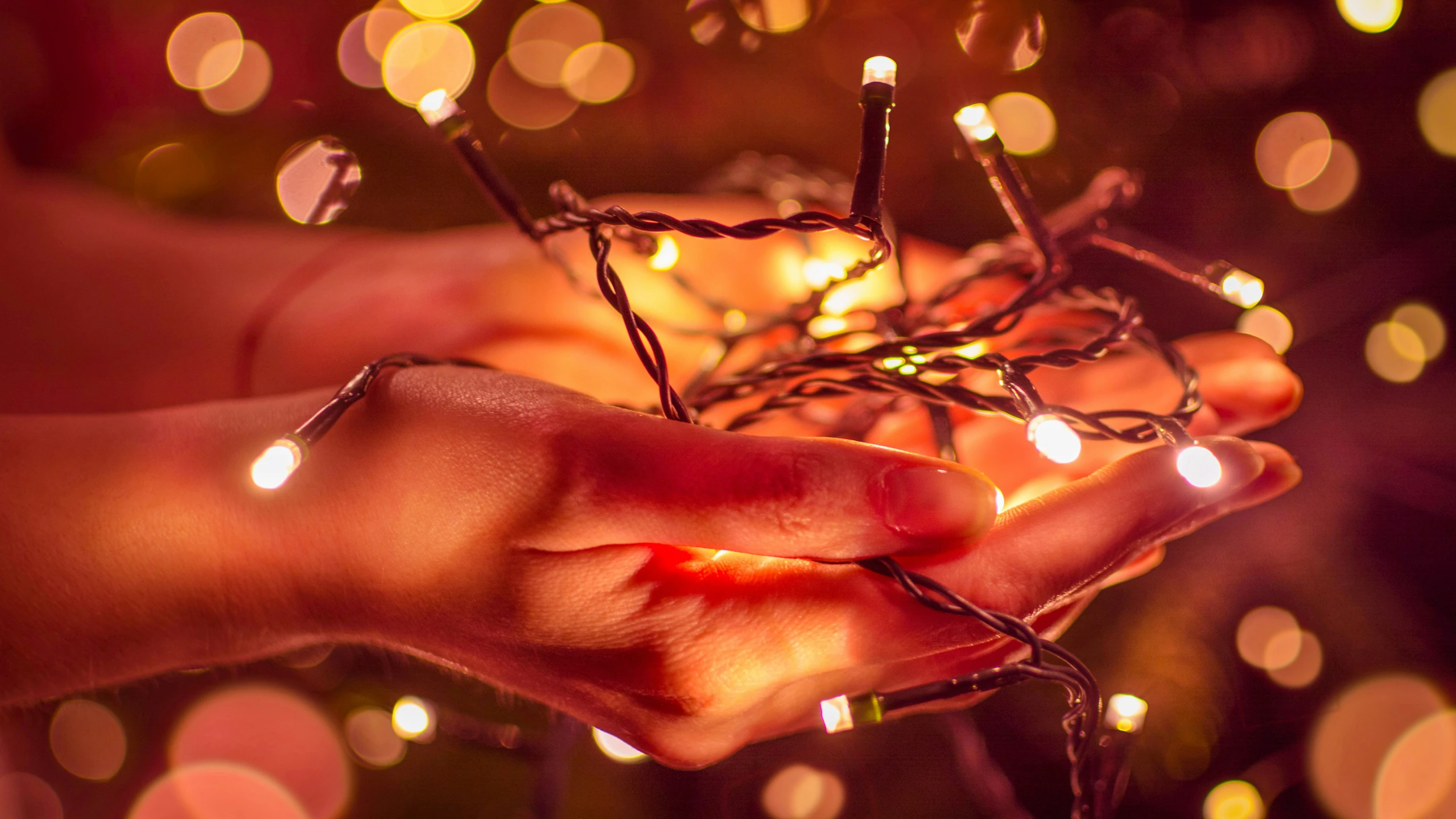 the lights of the small tree are in someone's hand