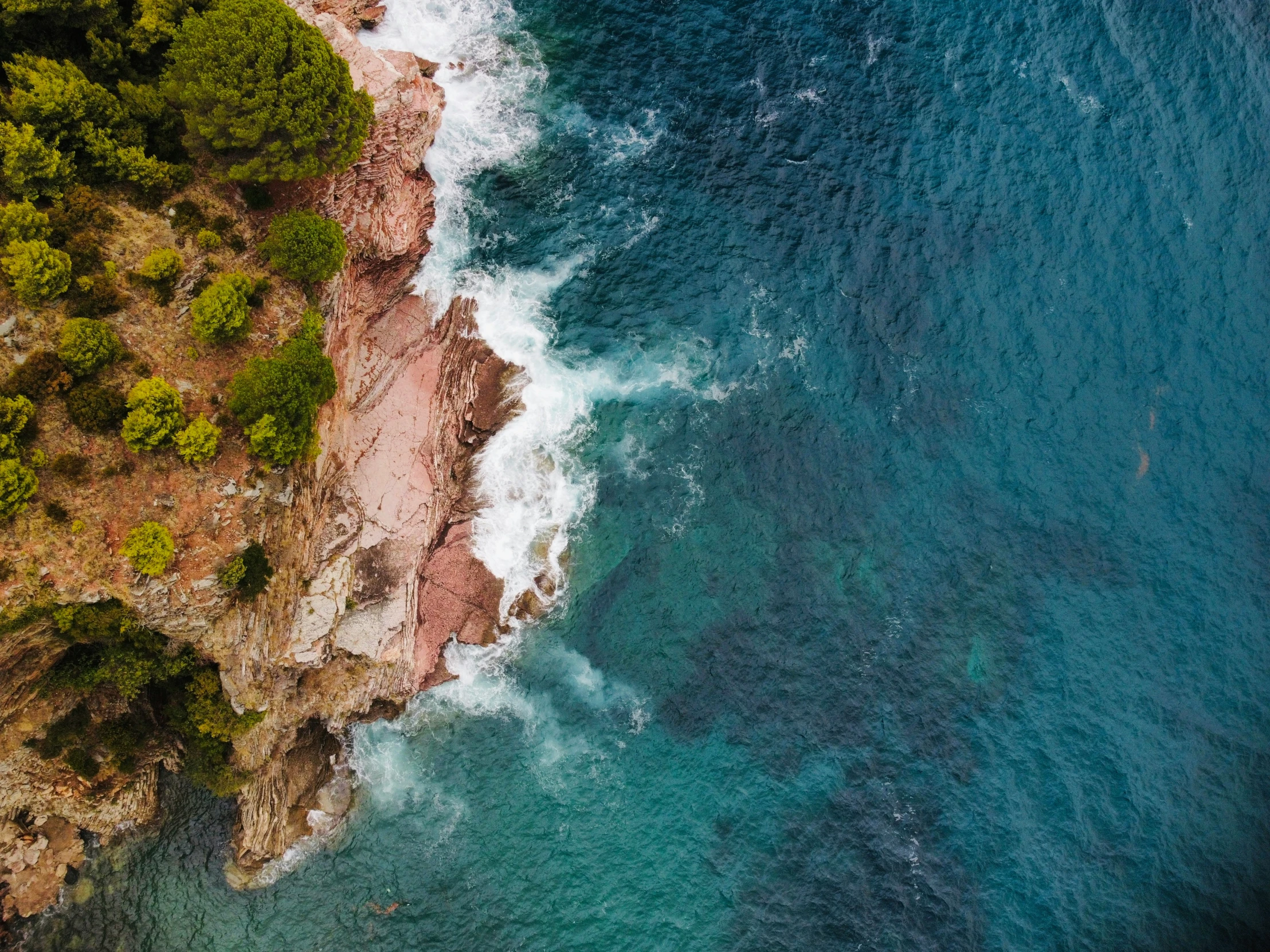 view from a plane flying over blue waters and trees on the edge of the cliffs