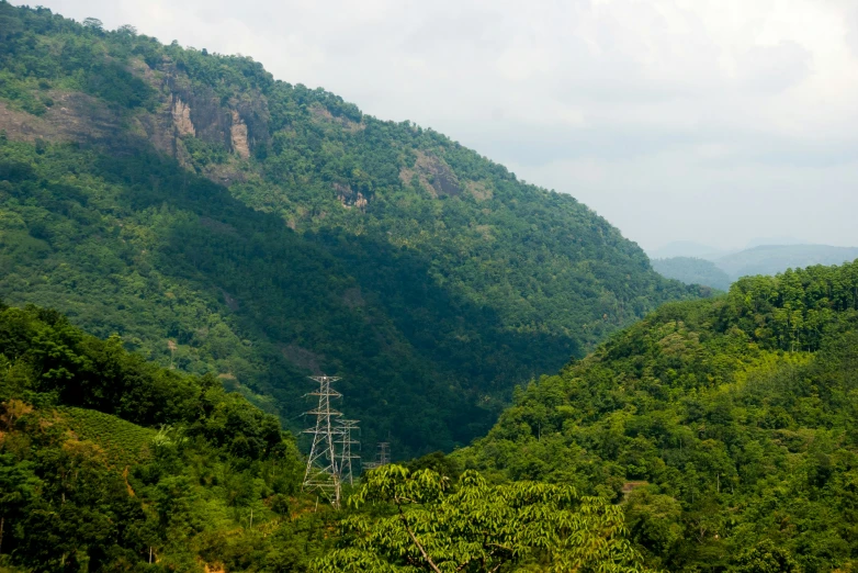 a large wooded area with a mountain behind it