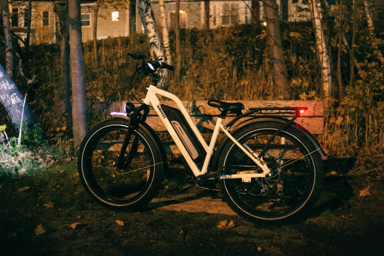 a bicycle sitting next to a forest in the dark