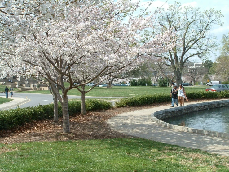 people are walking in the park on a sunny day