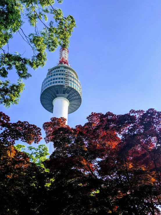 a po of the tower that towers over trees