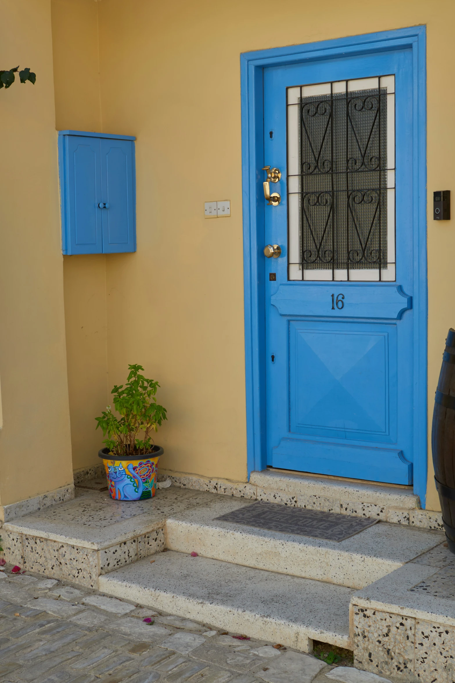 a blue door next to a yellow wall and plant