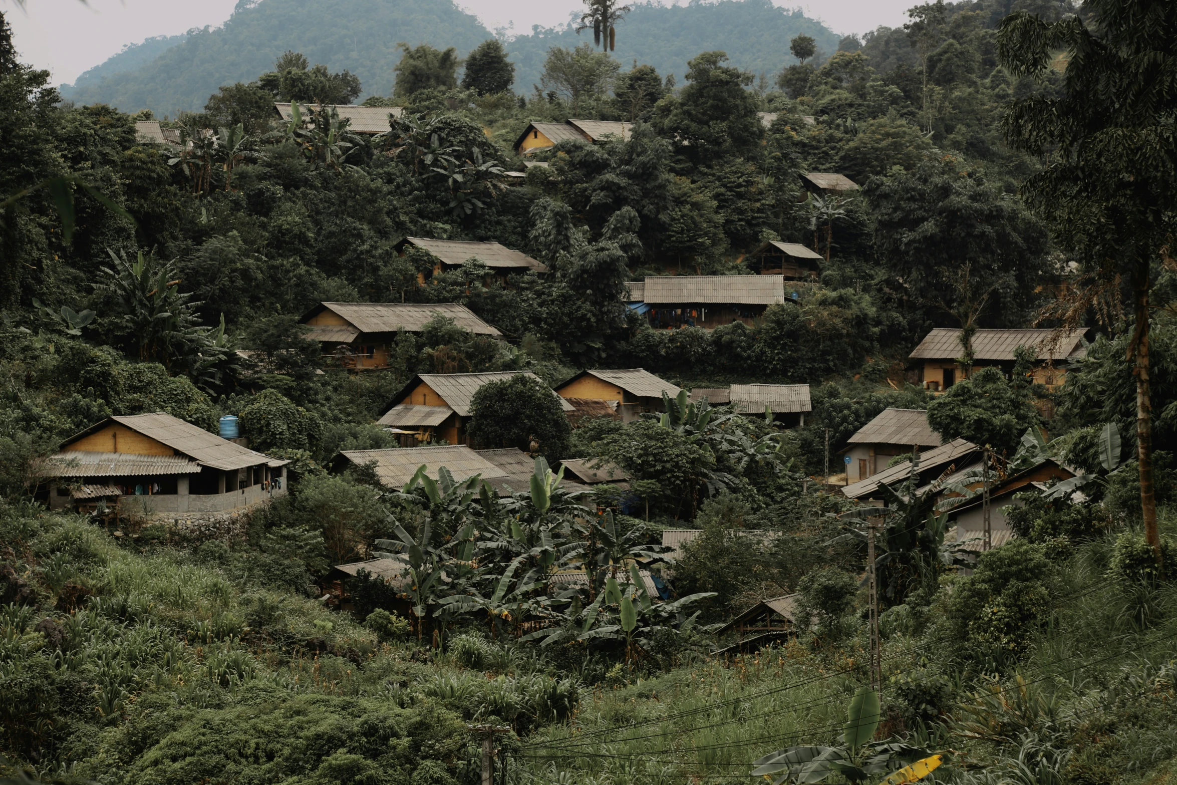 there are many huts surrounded by the forest