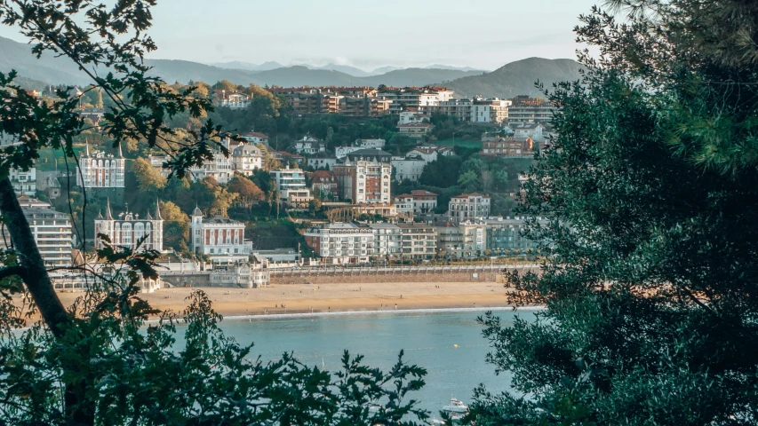 a beach and a city with a forest next to it