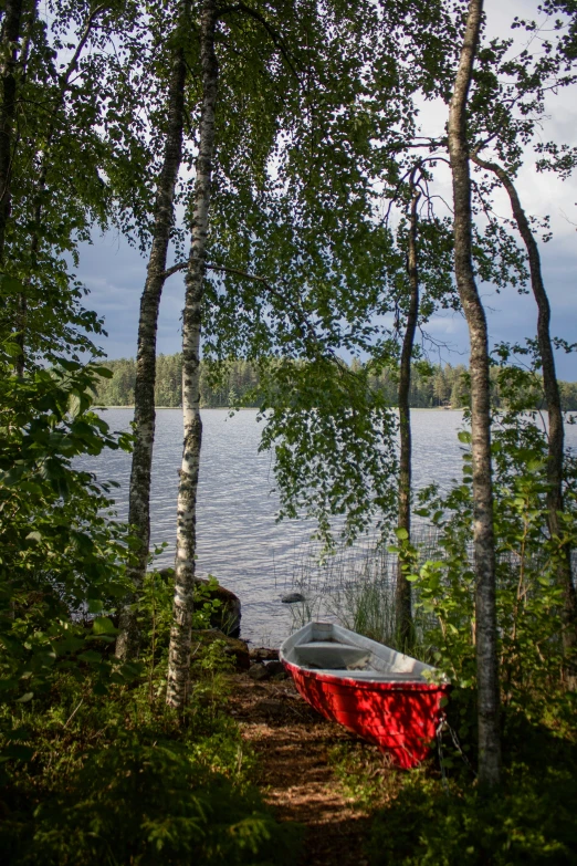 an abandoned boat is sitting on the shore