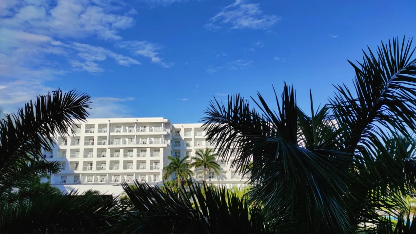 a white building with balconies and plants in front