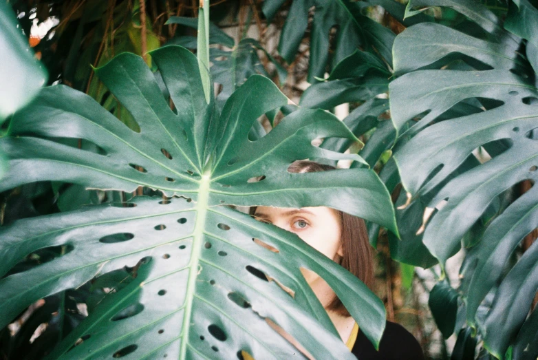 a girl is peeking through the large leaves