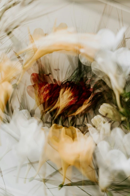 a painting of flowers on a white and yellow plate