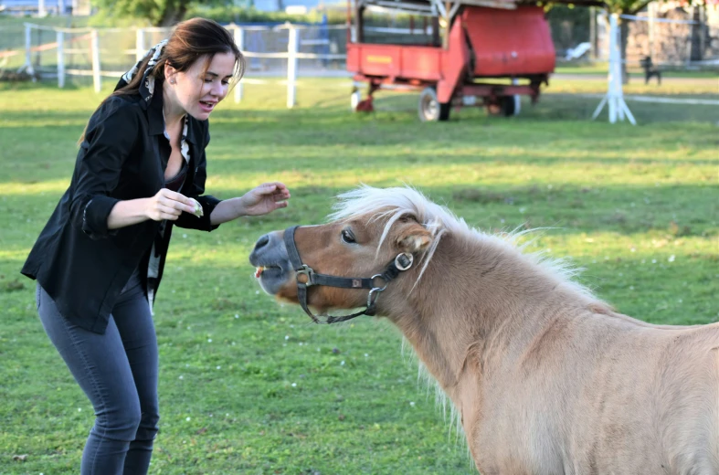 a woman is petting a horse outside in a field