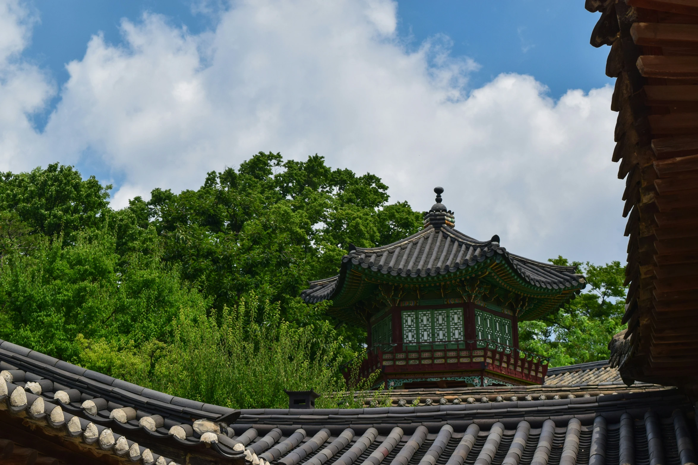 the small tower is surrounded by many trees