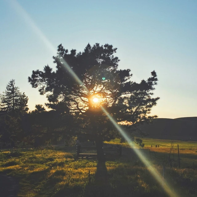 the sun sets behind trees on the other side of a hill