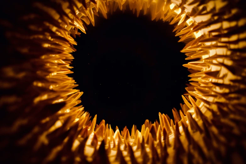 the center of a sunflower is shown with its eye