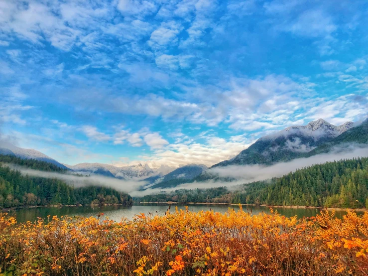 the river is surrounded by mountains and wild flowers