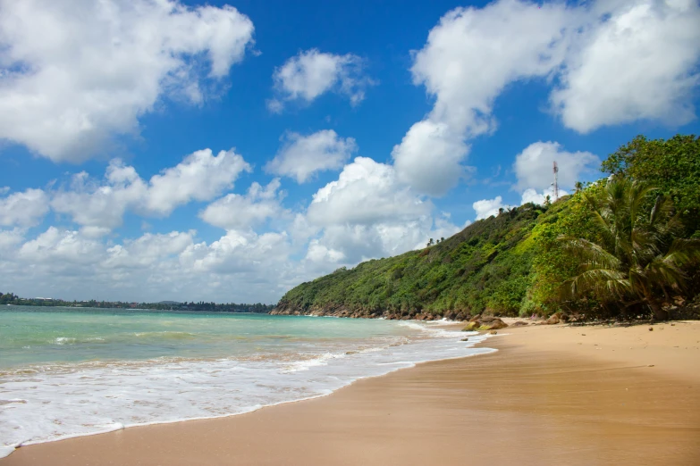 a beach with green trees and blue sky