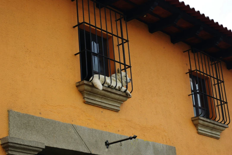 four cats are resting in the window of an orange building