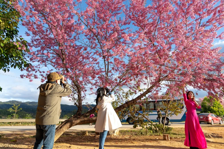 a man and a woman taking a picture of a cherry tree