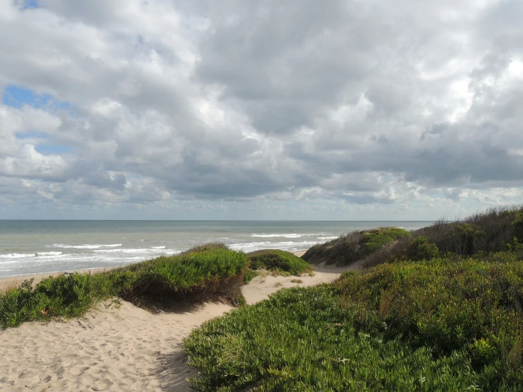 a beach with sand and grass on both sides